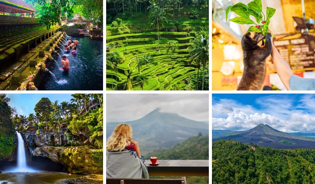 Kintamani Tour #1 (1 Day)