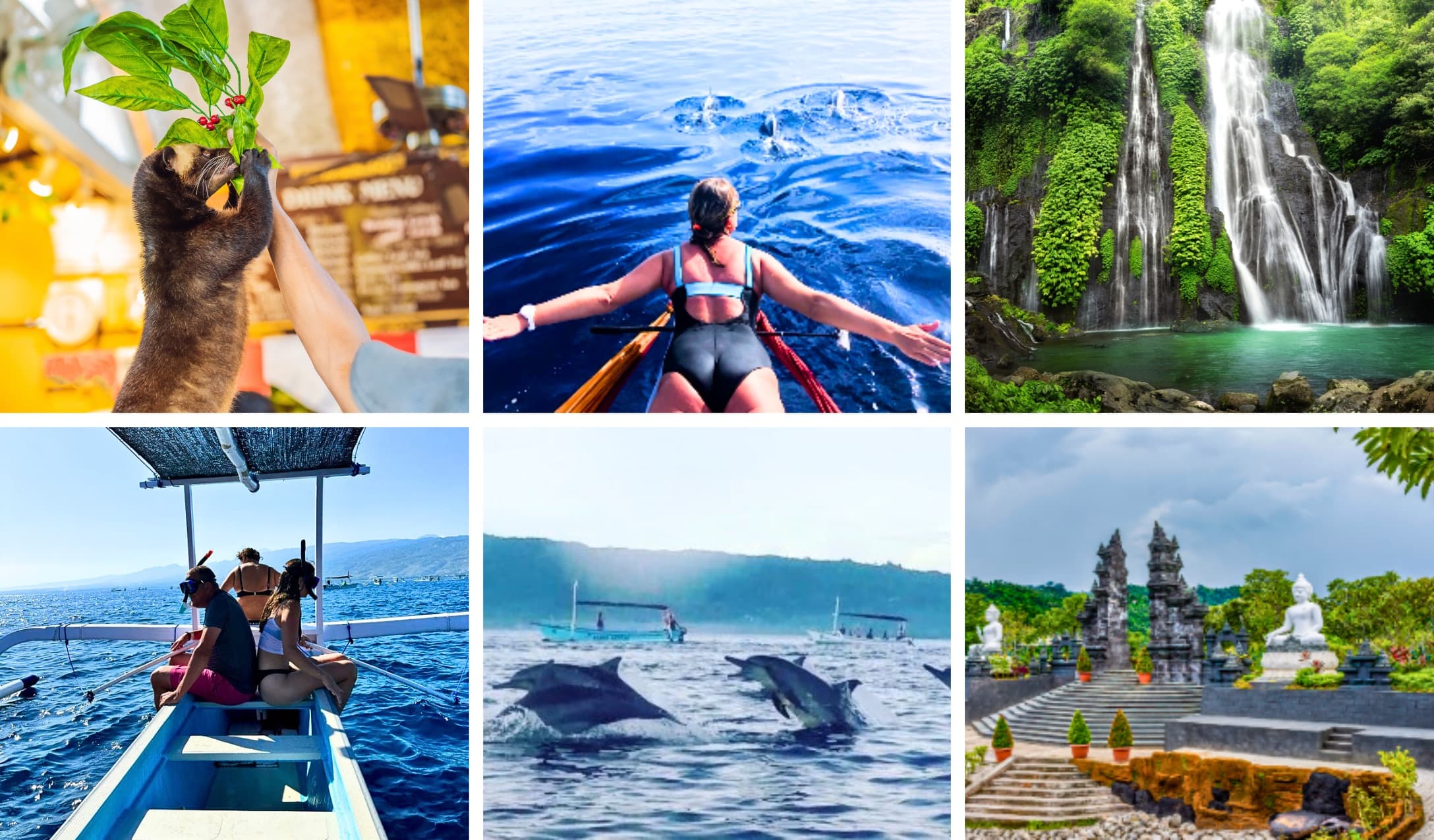 Snorkeling with Dolphins (1 Day)