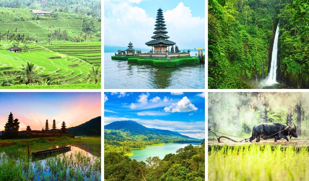 Munduk Tour (1 Day)