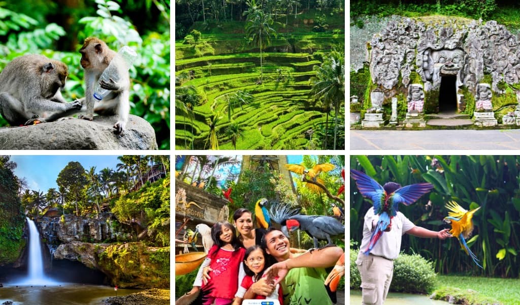 Убуд тур №1 (1 день)