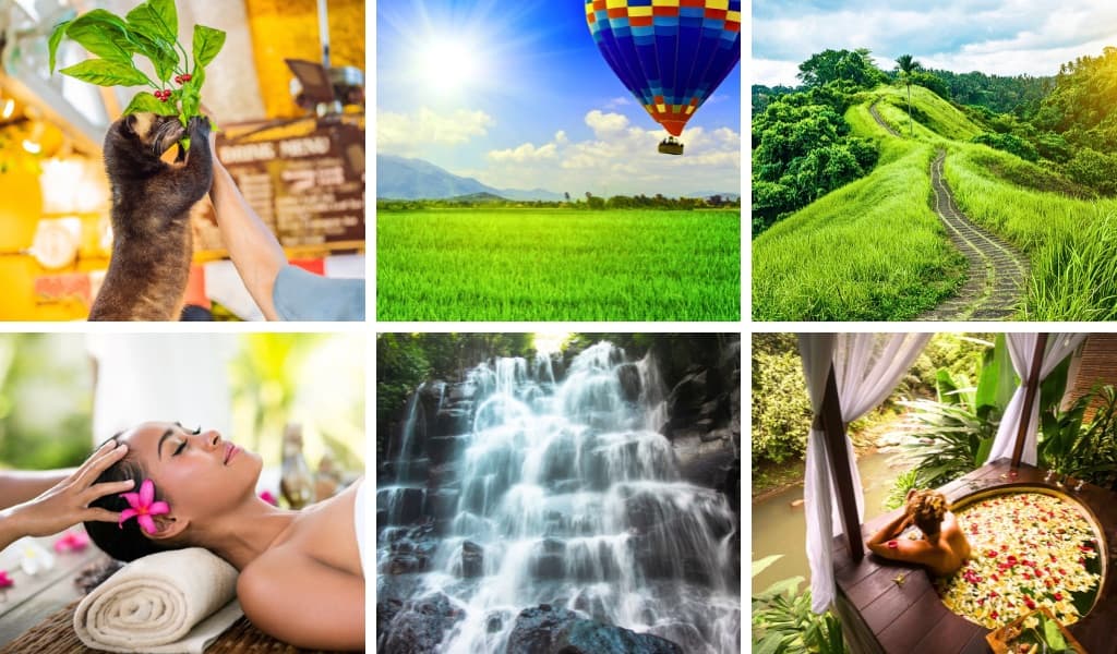 Полет на воздушном шаре, массаж и цветочные ванные (1 день)