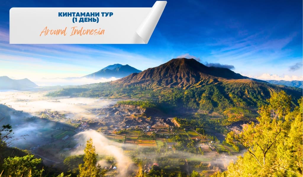Kintamani Tour #1 (1 Day)