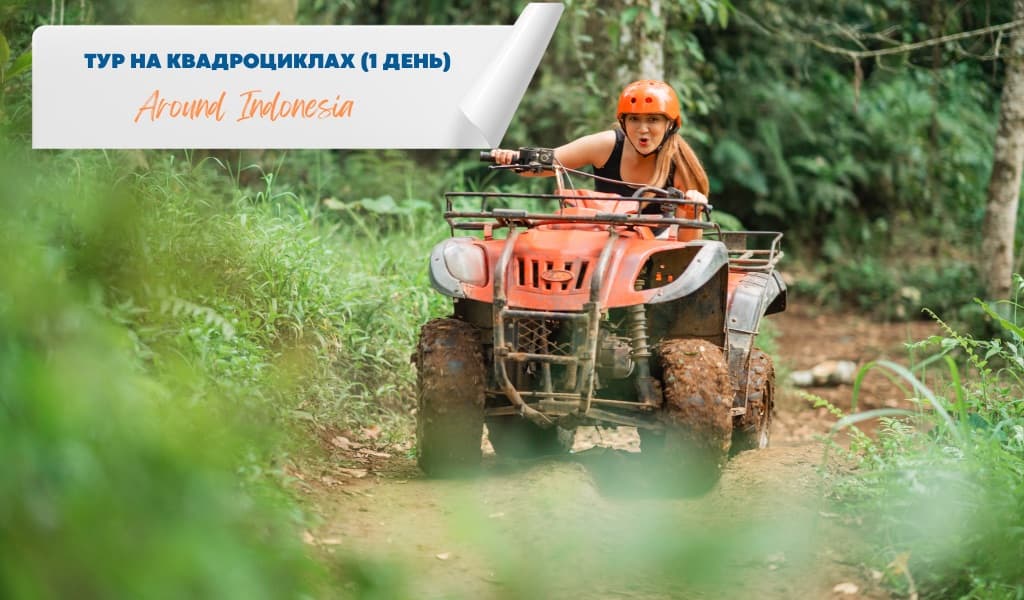 ATV Tour (1 Day)