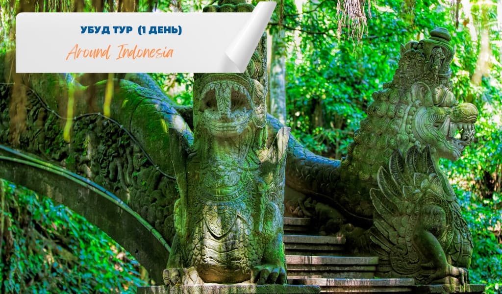 Ubud Tour #1 (1 Day)